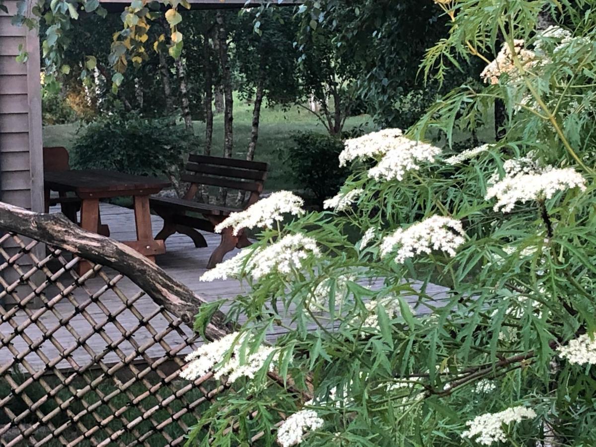 Japoniskas Sodas Medomiskiai Dış mekan fotoğraf